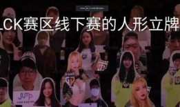 lpl赛区最新爆料图片,赛场风云再起，神秘战队浮出水面