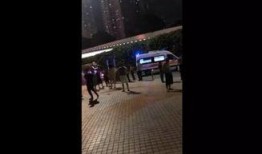 深圳男子爆料视频大全最新,揭秘城市生活背后真相